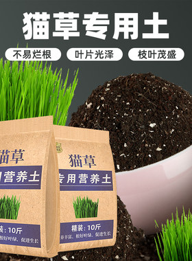 种猫草土专用营养土培养土疏松花盆栽花土有机土通用泥土种植土壤