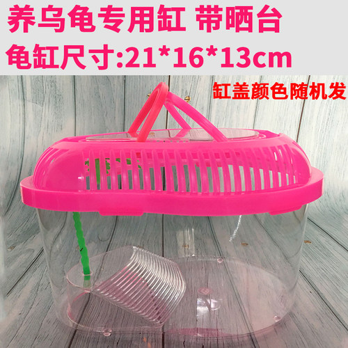 龟缸晒台爬台养殖箱家用乌龟缸鱼缸小型养乌龟专用缸小乌龟饲养盒