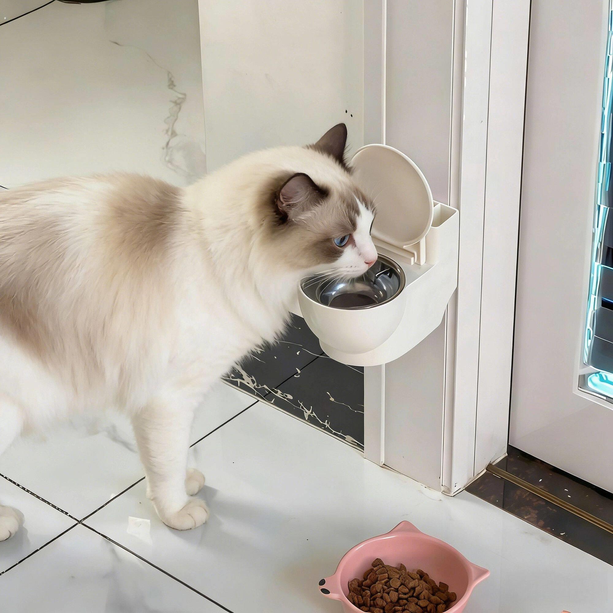 猫咪马桶饮水机猫宠物饮水器流动水不插电不易侧翻专用