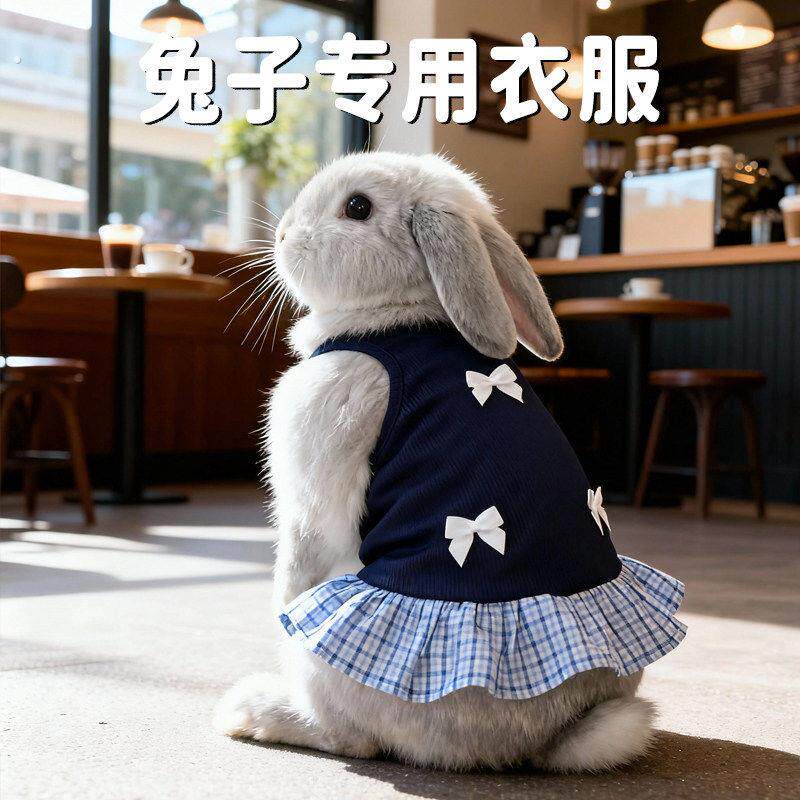 兔子专用衣服春装可爱垂耳兔侏儒兔透气装扮宠物四季款小宠服饰