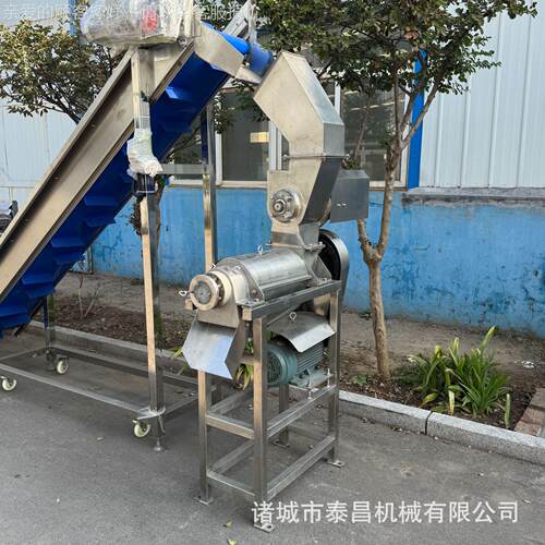 枣姜茶饮料生产线全自动姜饮料加工设备大生型NFW姜红黄姜脱汁机