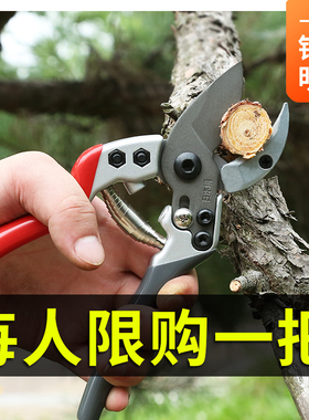 园艺剪刀花剪果树树枝修枝剪花枝果枝剪花艺剪子枝条修枝神器家用