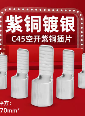 紫铜镀银C45接线端子线耳空气开关插针鸭嘴线鼻子电线开口铜接头