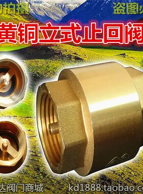 黄铜立式止回阀内螺纹单向阀丝口扣止回阀6分1寸1.5寸DN25 40 50