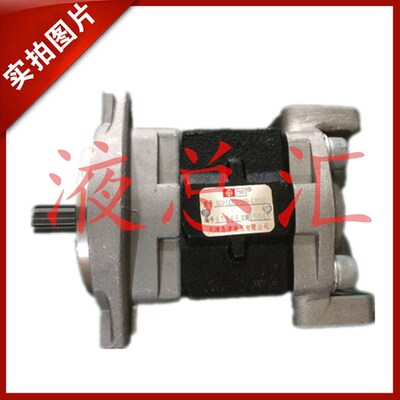 PERMCO 天津岛津行走泵高压油泵新源65 75轮式挖掘机 液压齿轮泵