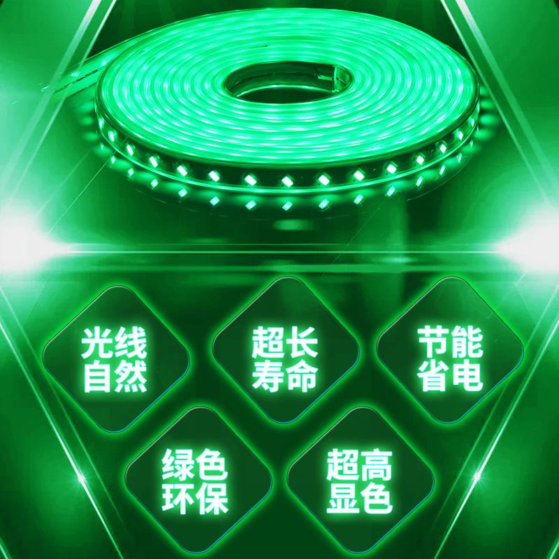 LED灯带条绿色220V绿光灯带户外防水超高亮公园绿植亮化装饰线灯