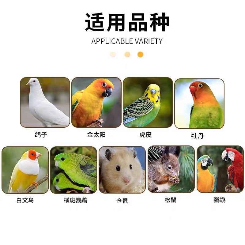 新品生黑珍珠小瓜子葵花子油葵籽鹦鹉鸟食仓鼠零食红花籽鸟粮鸽粮