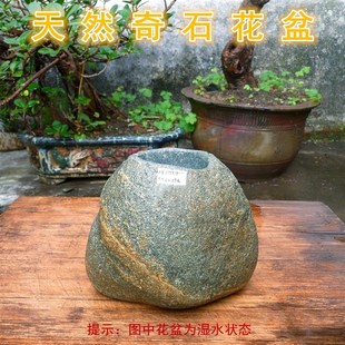 天然石头鹅卵石花盆水培菖蒲绿萝铜钱草多肉文竹创意花器花瓶包邮