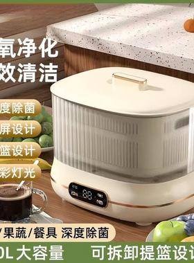 果蔬清洗净化器食材去农残臭氧消毒机肉类清洗机新家用消毒机