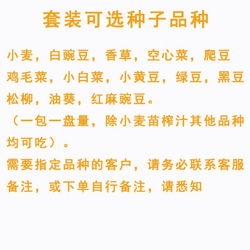 小麦苗种植盘家用芽苗菜育苗盘无土栽培设备水培蔬菜盆豆芽菜托盘