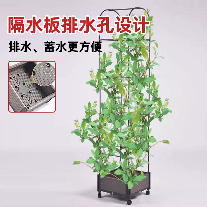 楼顶种植箱爬藤架月季黄瓜花卉蔬菜豆角通用支撑植物支架园艺花盆