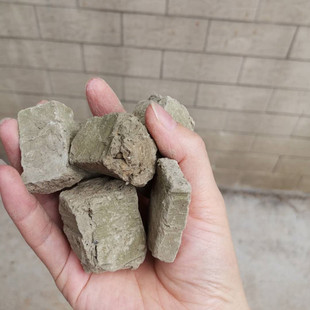 塘泥养龟池塘鱼塘荷塘种花营养泥土土土睡莲泥巴种菜种植花园