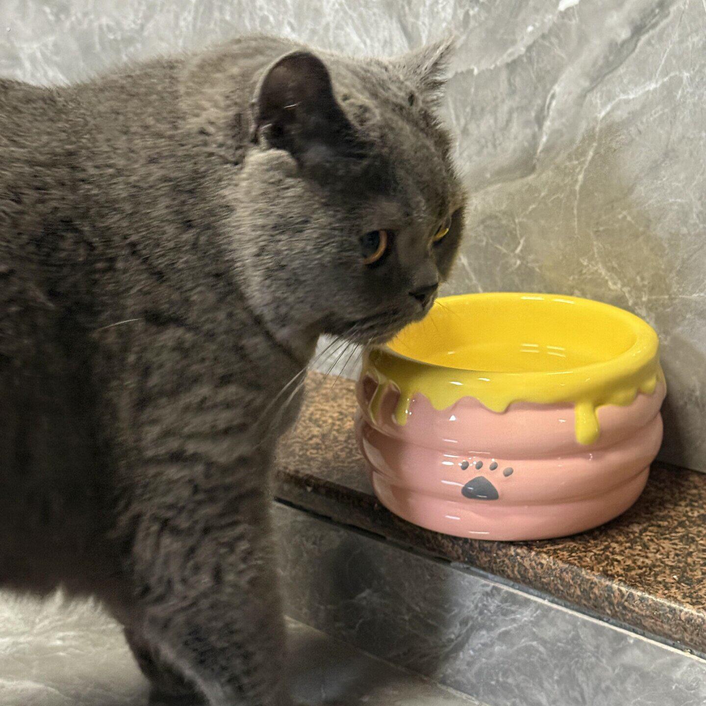 蜂蜜罐猫碗陶瓷猫食盆保护颈椎不易打翻大口径猫粮碗宠物猫咪用品