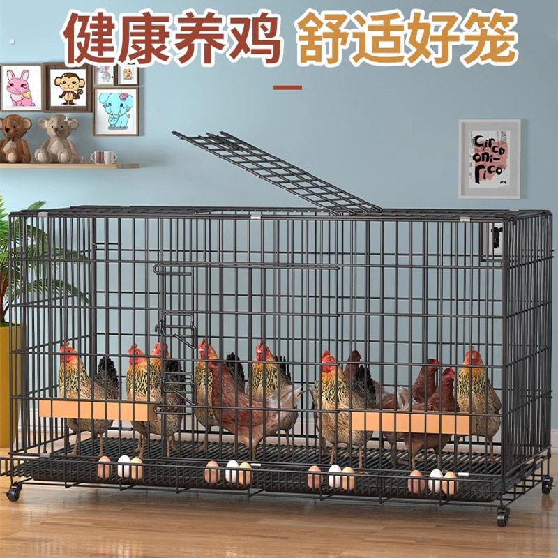新款 鸡笼子自动清粪大号户外鸡窝养殖笼鸡舍家用多层鸭笼鸡笼子