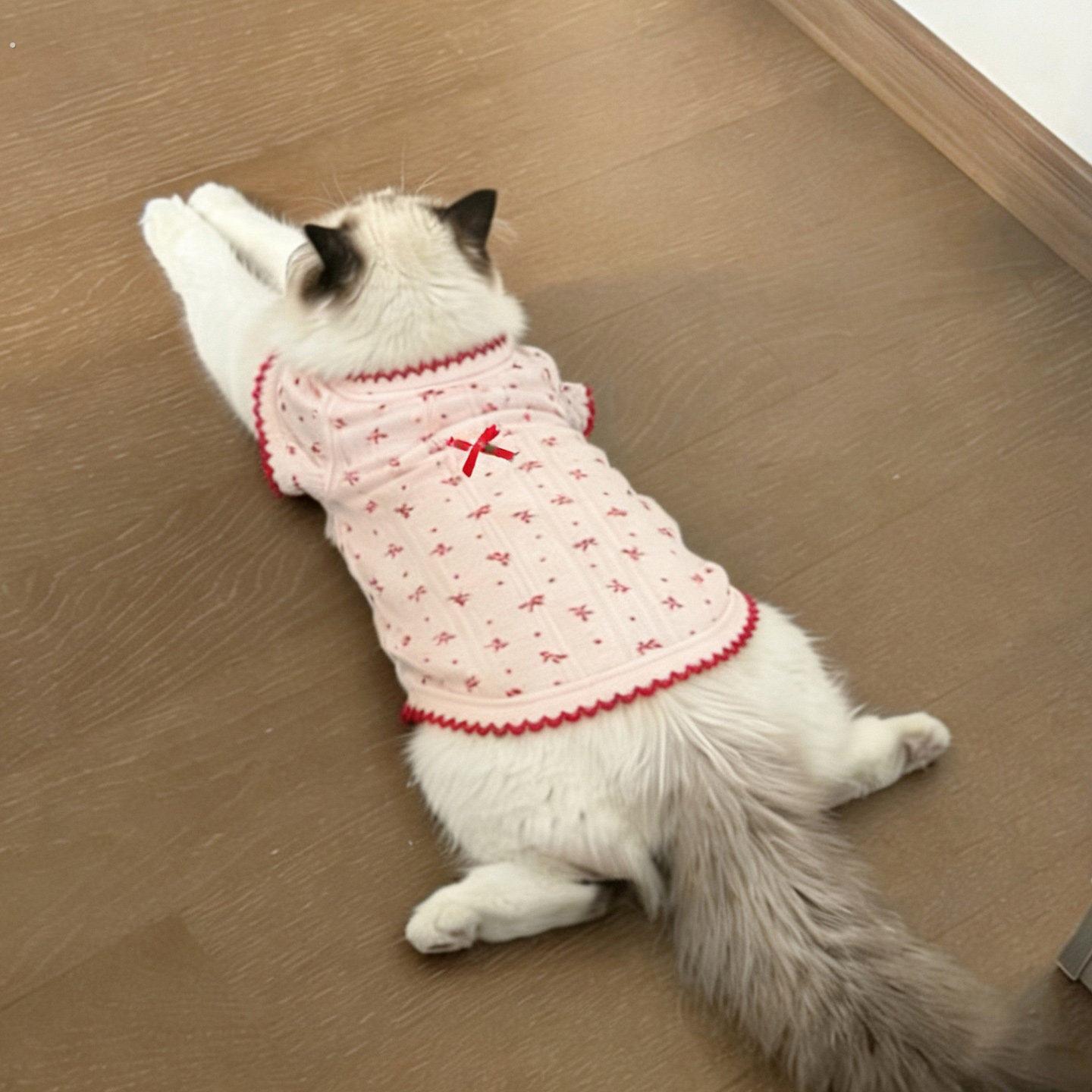 春天猫咪衣服布偶猫德文猫薄款防掉毛春装幼猫幼犬夏季可爱背心