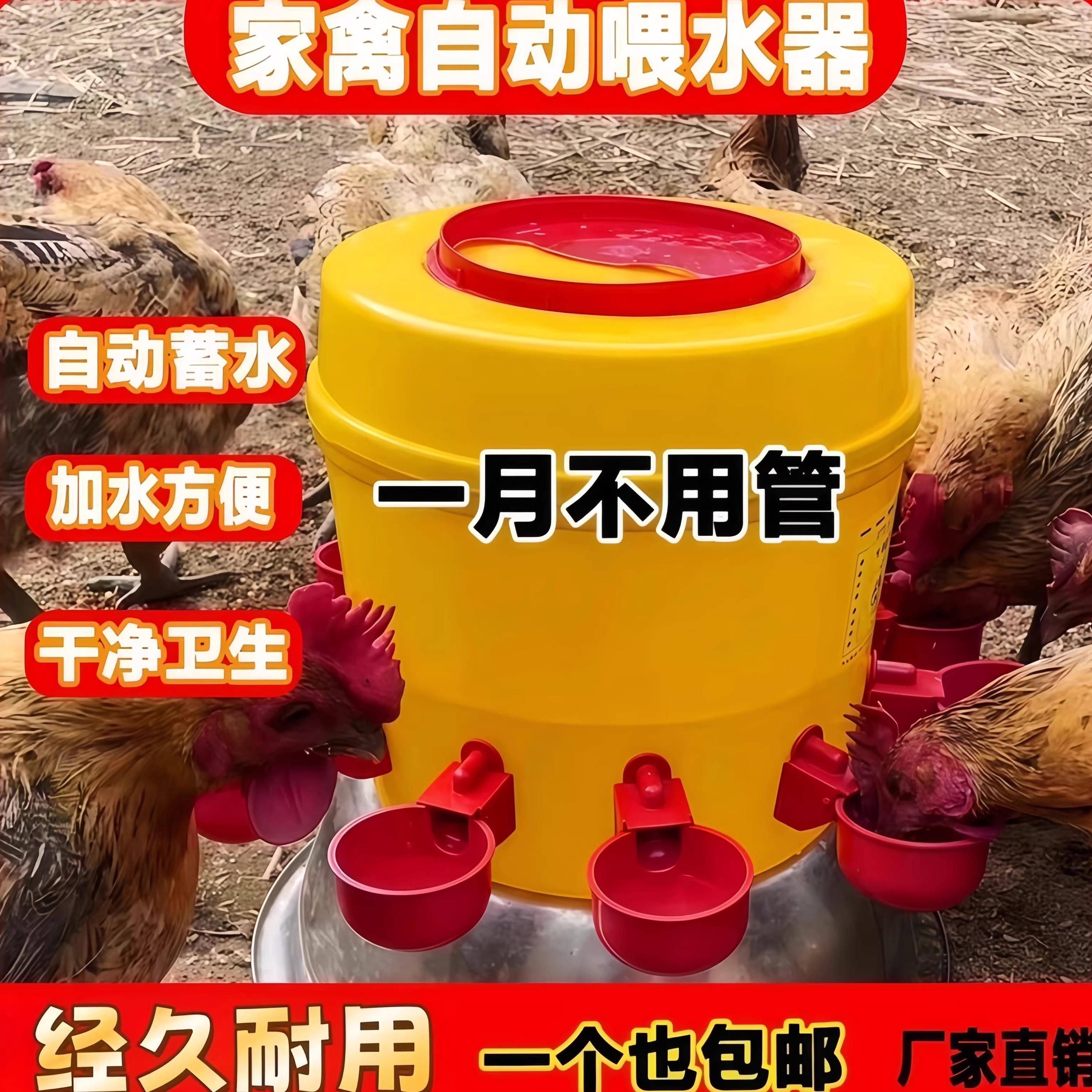 鸡鸭鹅自动饮水器出远门喂鸡神器喂鹅鹌鹑鸟喂水自动款家禽喝水器