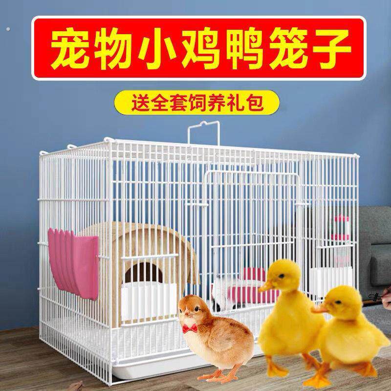 养小鸡专用笼子小鸭子别墅笼大号家用室内芦丁鸡笼房子屋窝柯尔鸭