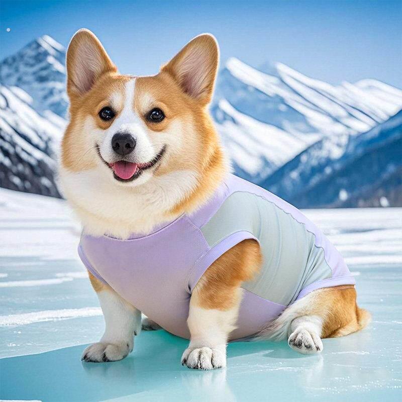 宠物狗狗夏季衣服防晒衣凉凉衣柯基法斗中型犬夏天薄款防掉毛背心