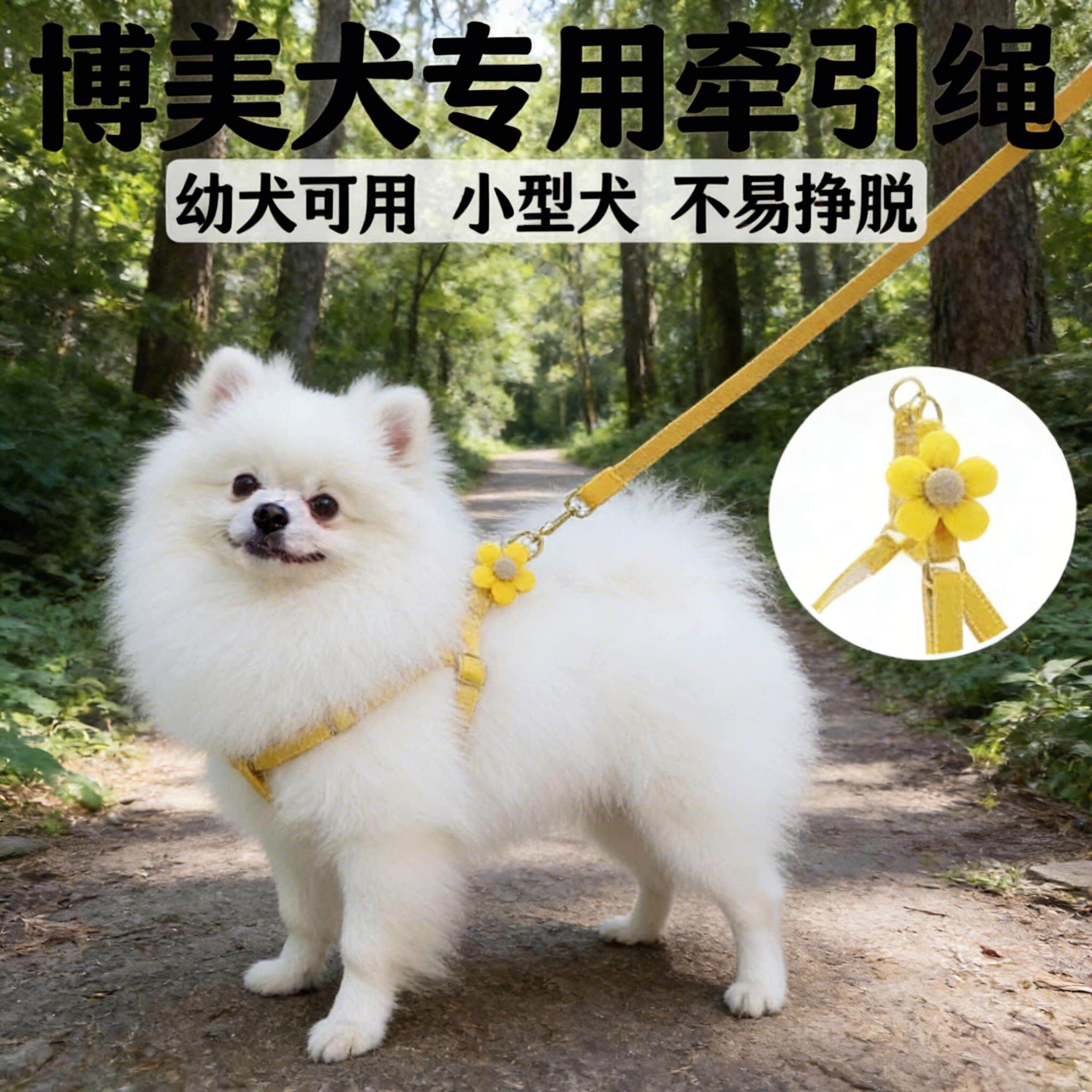 博美犬专用可调节牵引绳小型犬幼犬小体狗狗炼子可伸缩宠物用品