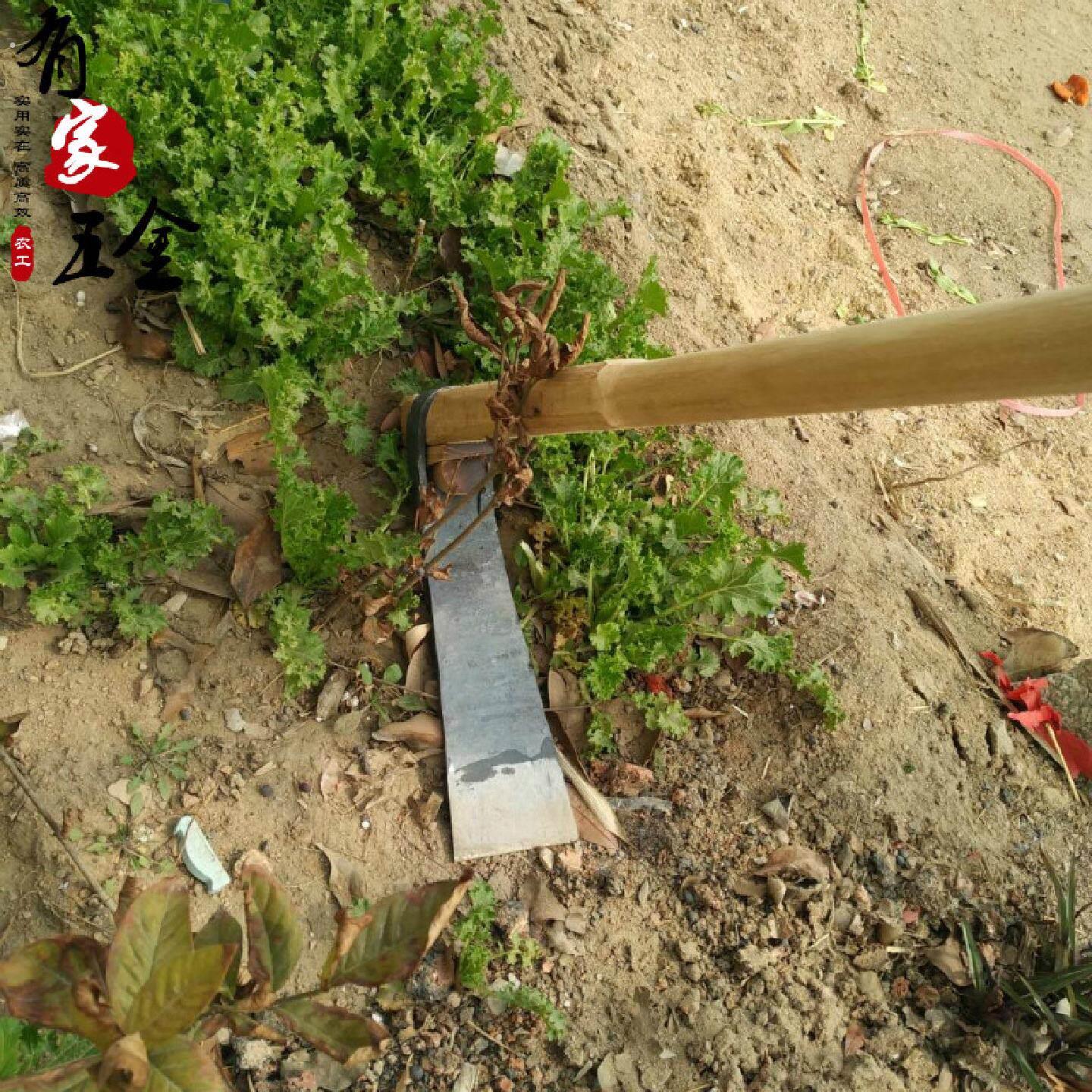 农用工具家用种菜锄头挖地多功能镢头除草全钢锻打锄草老式开沟除