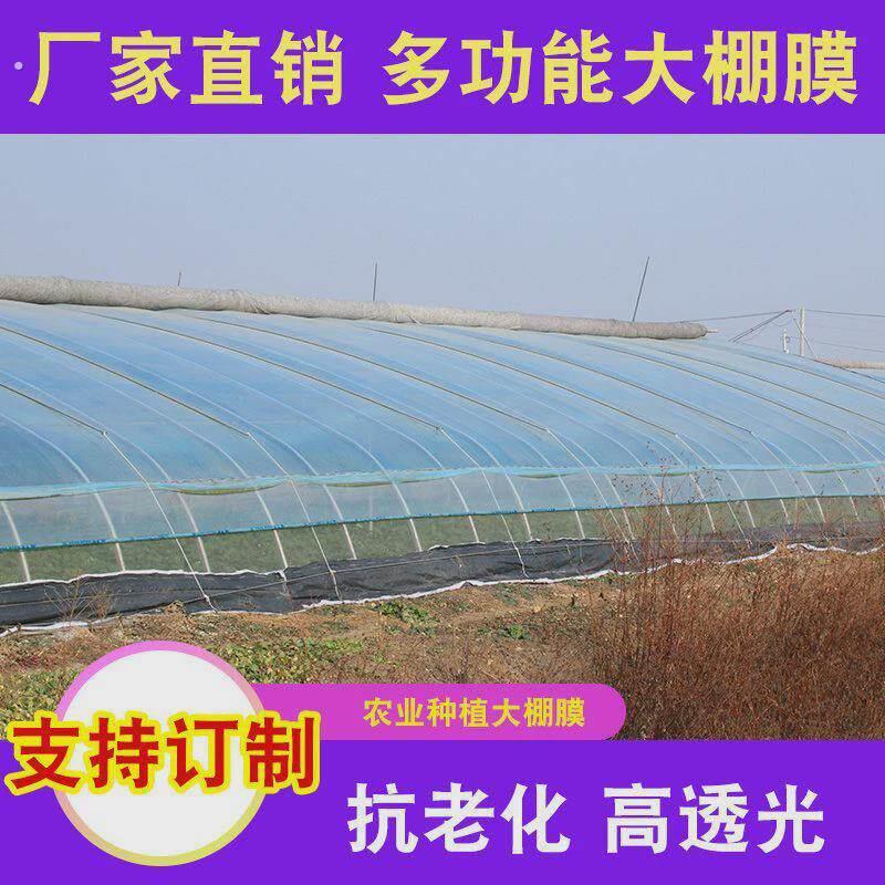 畜牧大棚猪膜电动牛棚加厚种植棚宴席保温棚热镀锌抗材料酒席塑料