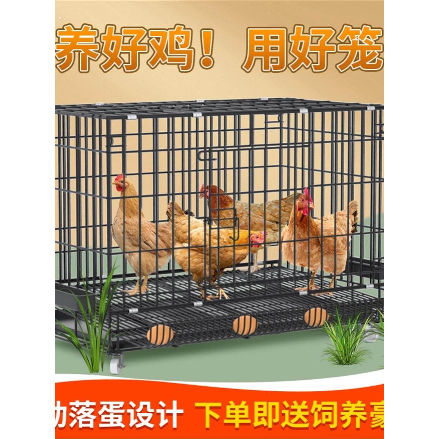 室外养鸡专用笼特大号养殖笼自动清粪鸡舍家用鸡笼子多层鸭笼狗笼