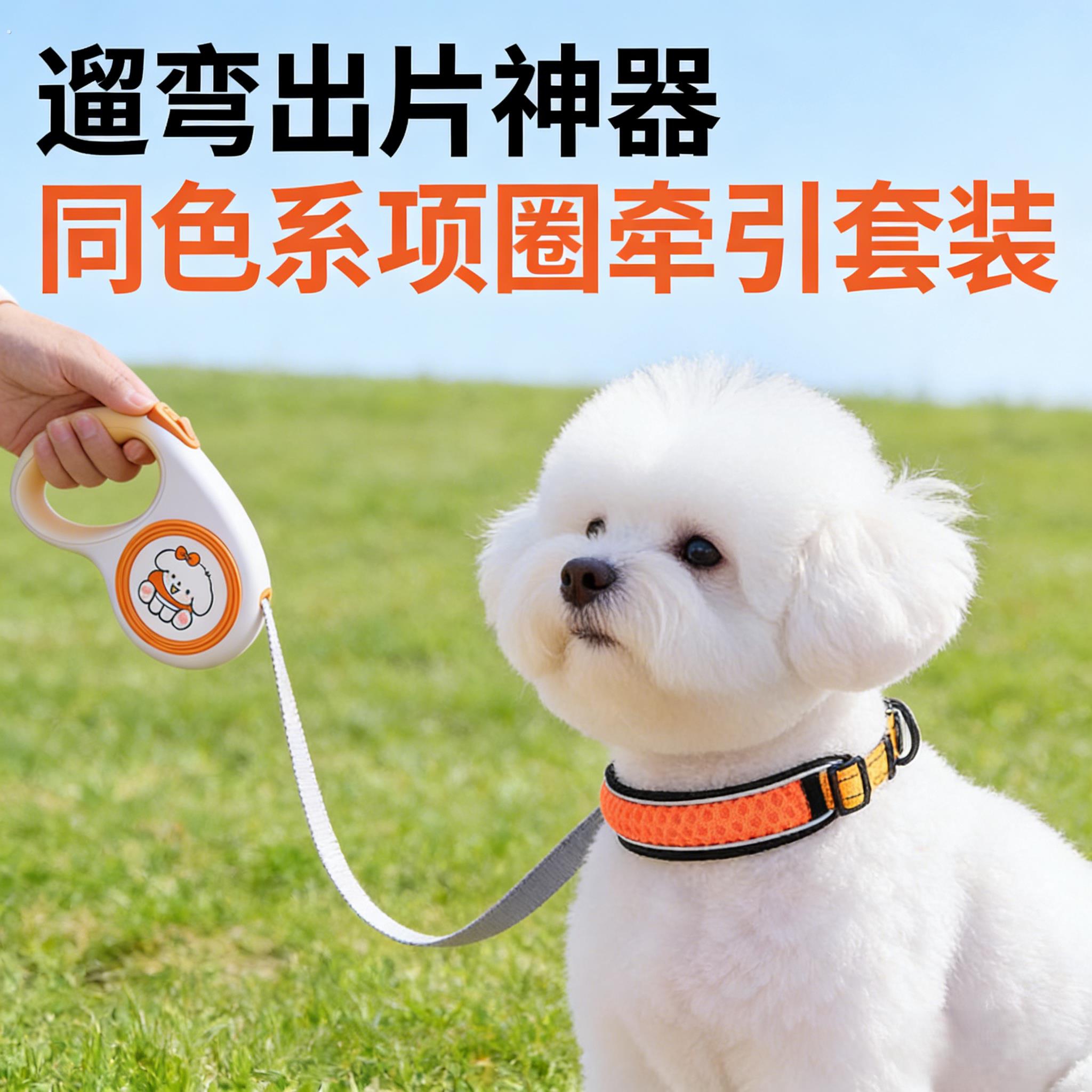 5米伸缩牵引绳狗狗护颈项圈狗炼脖圈中小型犬颈圈脖套宠物遛狗绳