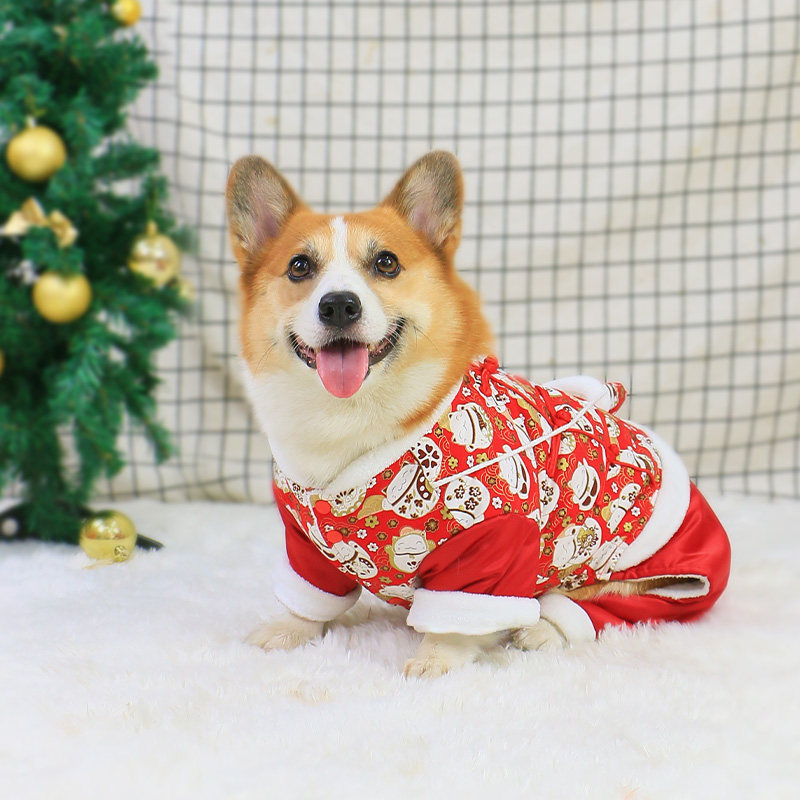 宠物狗狗秋冬款衣服新年过年喜庆保暖裙子2025新款冬柯基冬季冬天