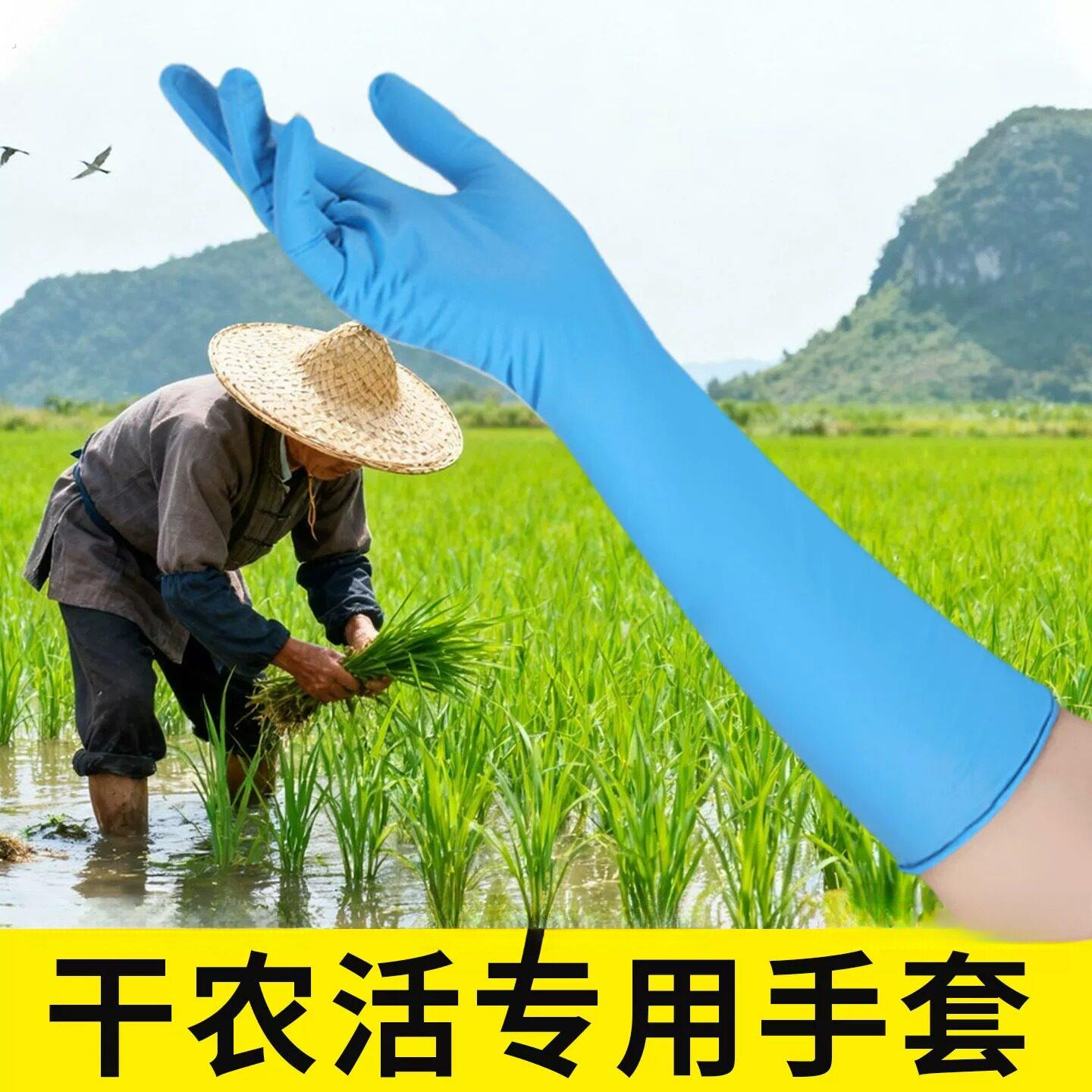 稻田插秧专用手套农活种菜加长防水下田工作劳动干活耐用种植采茶