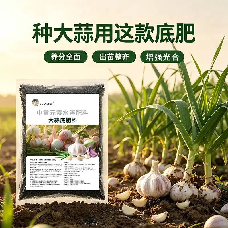 八个老头大蒜底肥料种菜植株健壮根提质增产颗粒中量元素水溶肥料