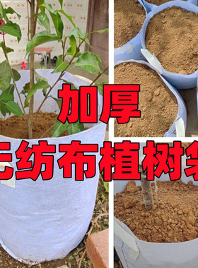 种植用不织布加厚育苗种树蔬菜植物花卉专用大号优质营养钵控根器