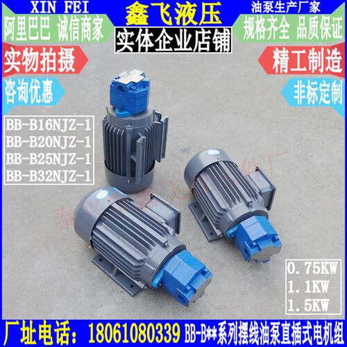 BB-B16JZ BB-B20JZ  BB-B25JZ  BB-B32摆线齿轮油泵电机组NJZ-1