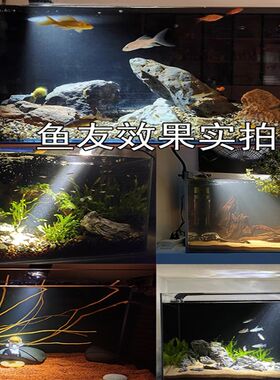 鱼缸背景贴纸黑色不透光静电贴自粘纯黑免胶玻璃缸黑膜外贴专用膜