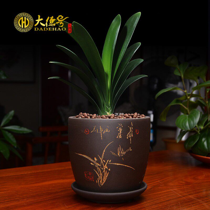 紫砂花盆带托盘盆景盆绿植室内吊兰绿萝兰草文竹发财树君子兰花盆