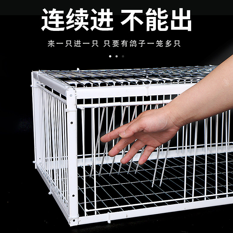 天落笼鸽子笼只进不出回收笼户外神器防晒防锈加厚材质鸡鸭鹅回收