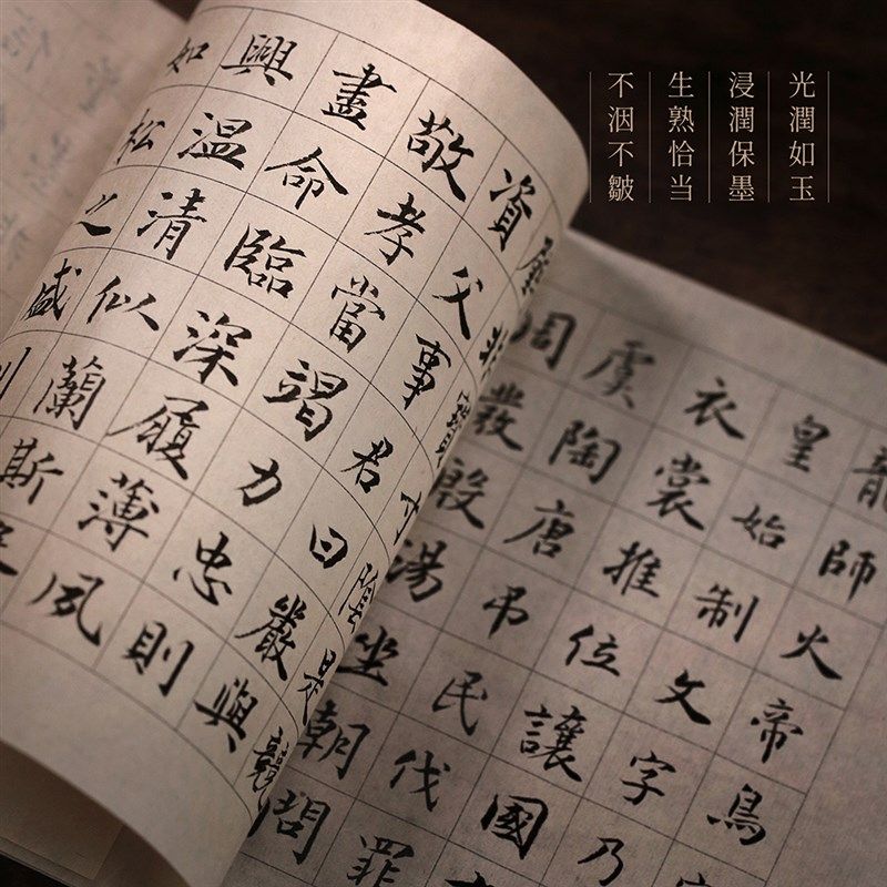 问心堂手工水竹格子纸书法印格练习竹浆毛边纸中楷小楷行书隶书