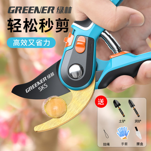 园艺剪刀修枝剪树枝专用剪刀修枝剪果树修枝花剪树枝园林花卉绿林