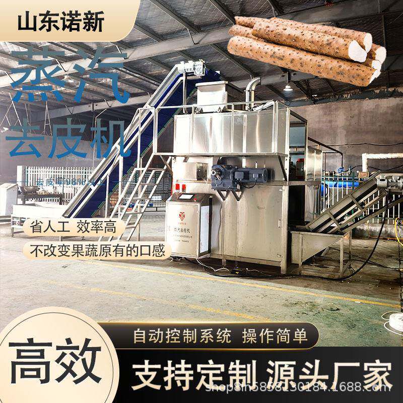 葡萄蔬果机机器果蔬去皮机苹果葡萄蒸汽剥皮机诺新科技