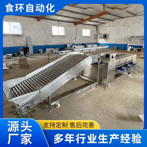天麻滚杠分选机土豆洋葱不锈钢分选机商用荔枝圣女果选果机