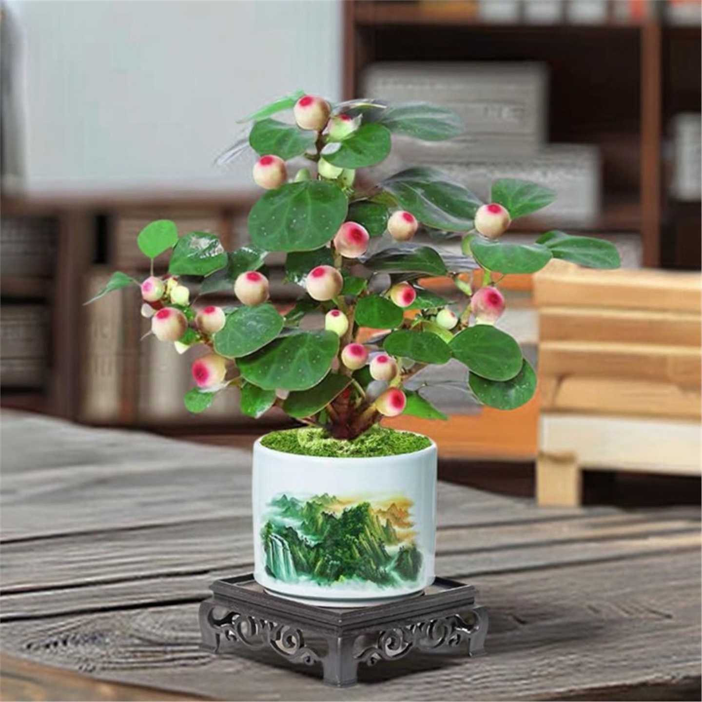 小盼菩提树盆栽绿植物室内图片