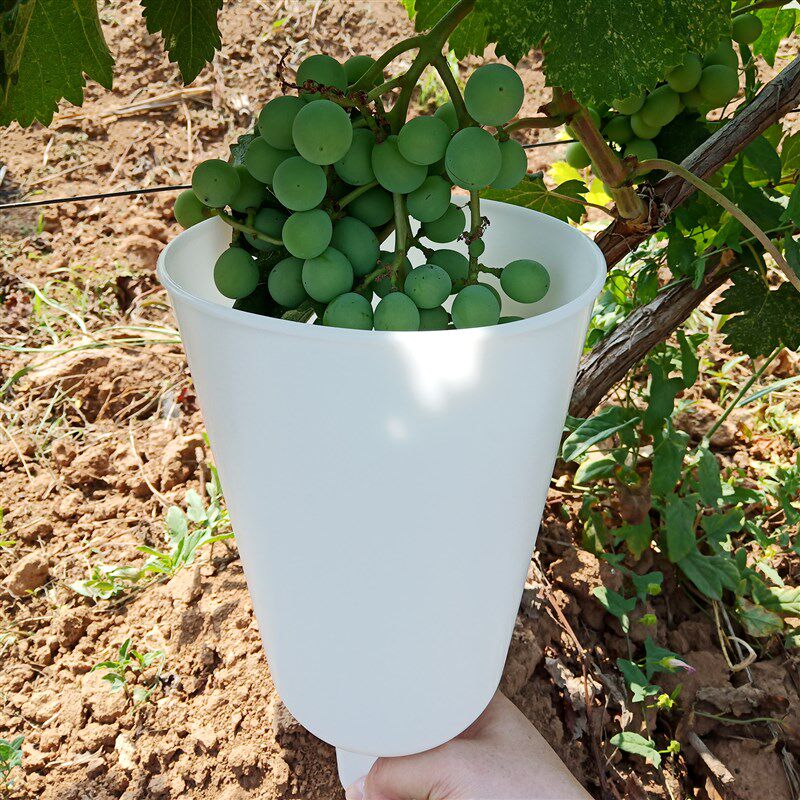 葡萄浸果杯葡萄膨果拉穗器膨大剂沾药杯子葡萄蘸药神器葡萄喷药器