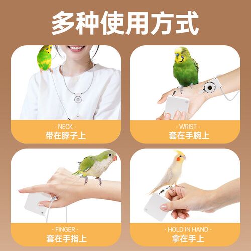 鹦鹉自动伸缩牵引绳玄凤外出遛鹦鹉专用放飞绳带脚环超轻放飞带