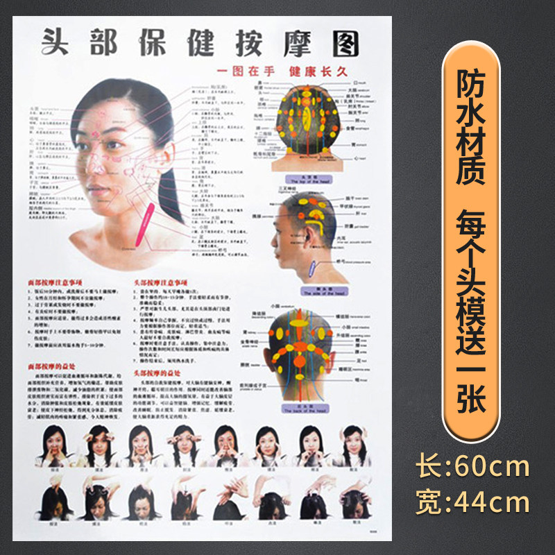 美容院练习头模按摩教学用模型 脸部穴位练习带肩软质假人头
