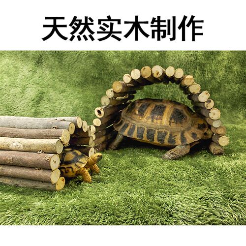 实木陆龟躲避洞适用于豹龟与守宫洞穴饲养盒QTG爬宠用品