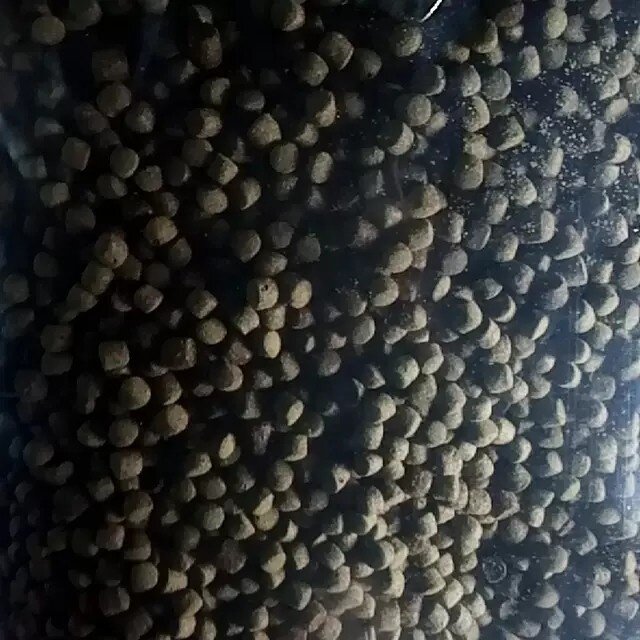 锦鲤渔场自用饲料2斤