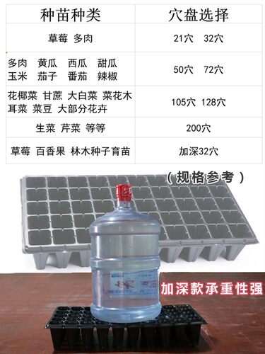 育苗穴盘塑料杯种植神器营养钵蔬菜多肉育种扦插盒农用育苗托盘