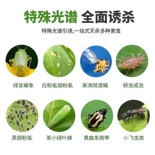 黄板双面粘虫板大棚专用100张飞虫小黑飞果蝇诱捕器贴纸农用花园