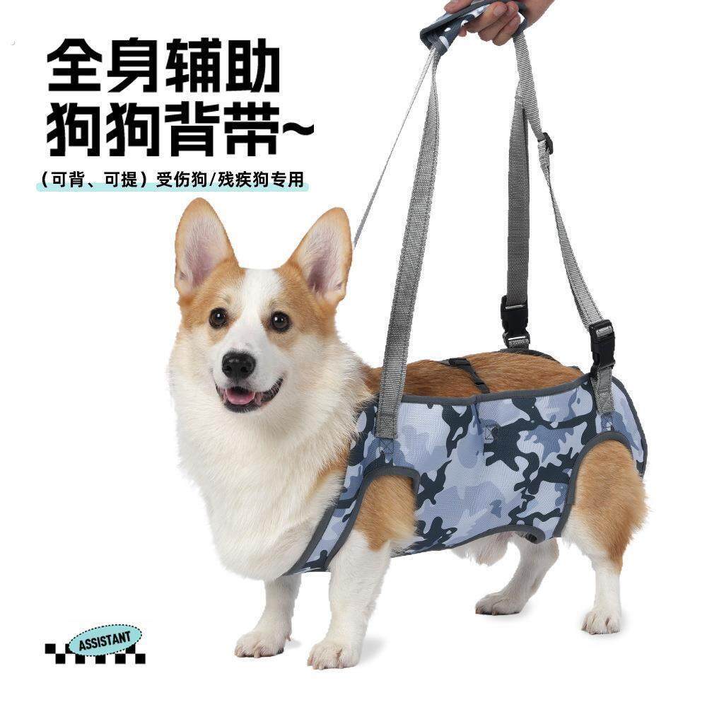 亚马逊新款宠物辅助带老年犬残疾犬康复出行胸背可调节牵引绳