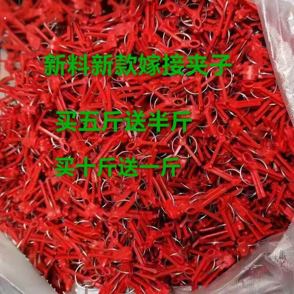蔬菜西瓜黄瓜甜瓜茄子番茄南瓜平口嫁接夹子夹子 塑料 圆口