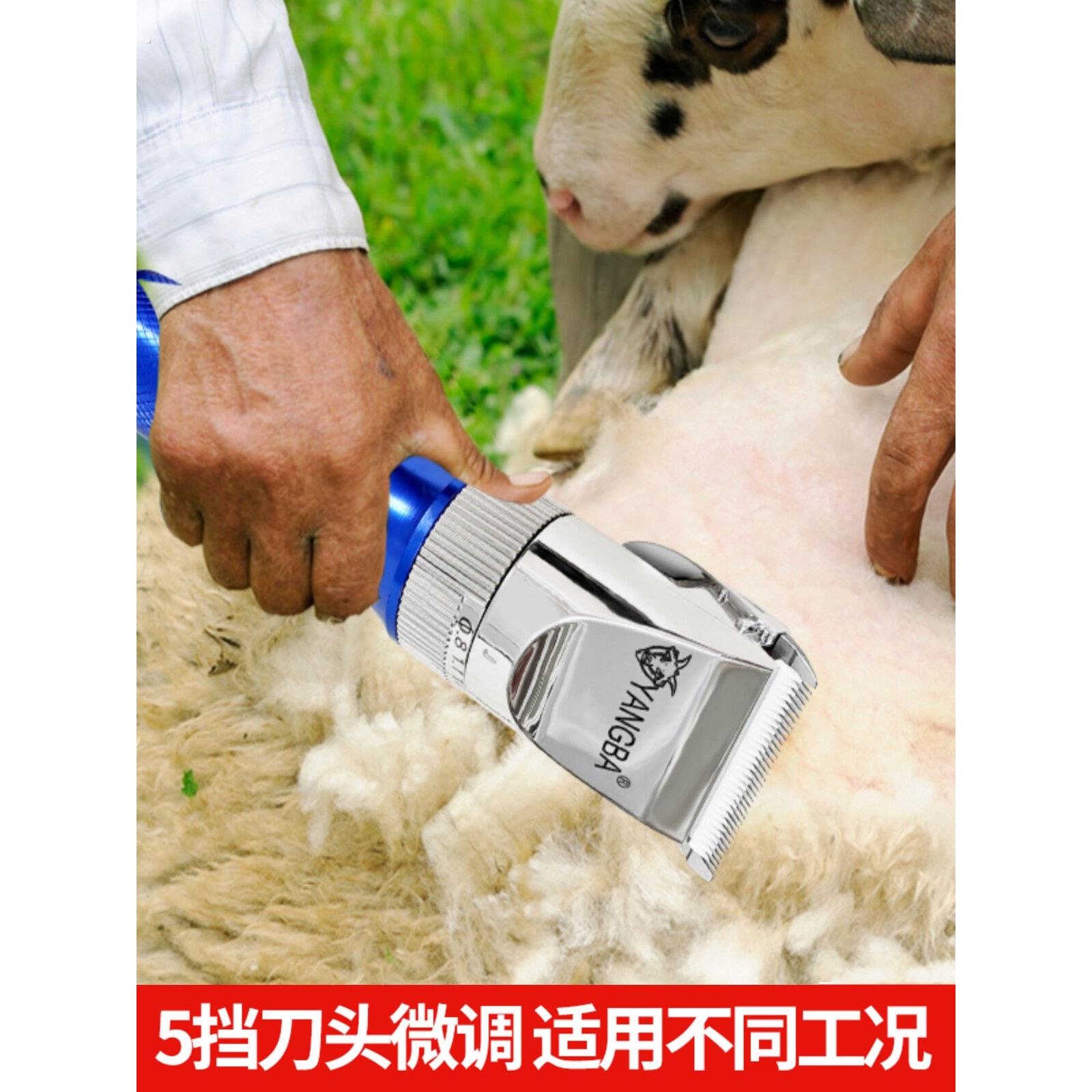 羊霸带线羊毛剪 大功率电动推剪剃绒山羊推子大功率宠物剪羊毛电